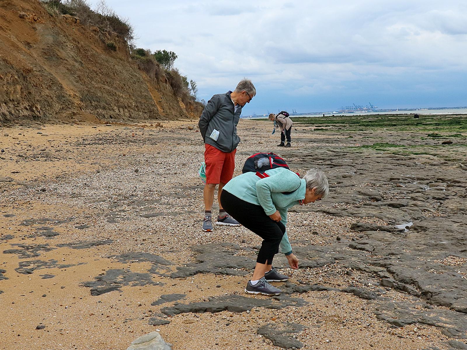 p7130538-sh-crop-border-web